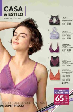 Mini Folleto Casa Estilo C19 2024