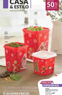 Folleto Casa y Estilo Mini C3 2025