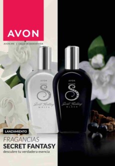 Catálogo Avon MINI Campaña 9 2025