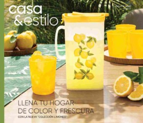 Catálogo Casa Estilo 11 2025